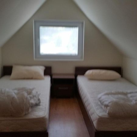 Villa Ducic Zlatibor Rum bild