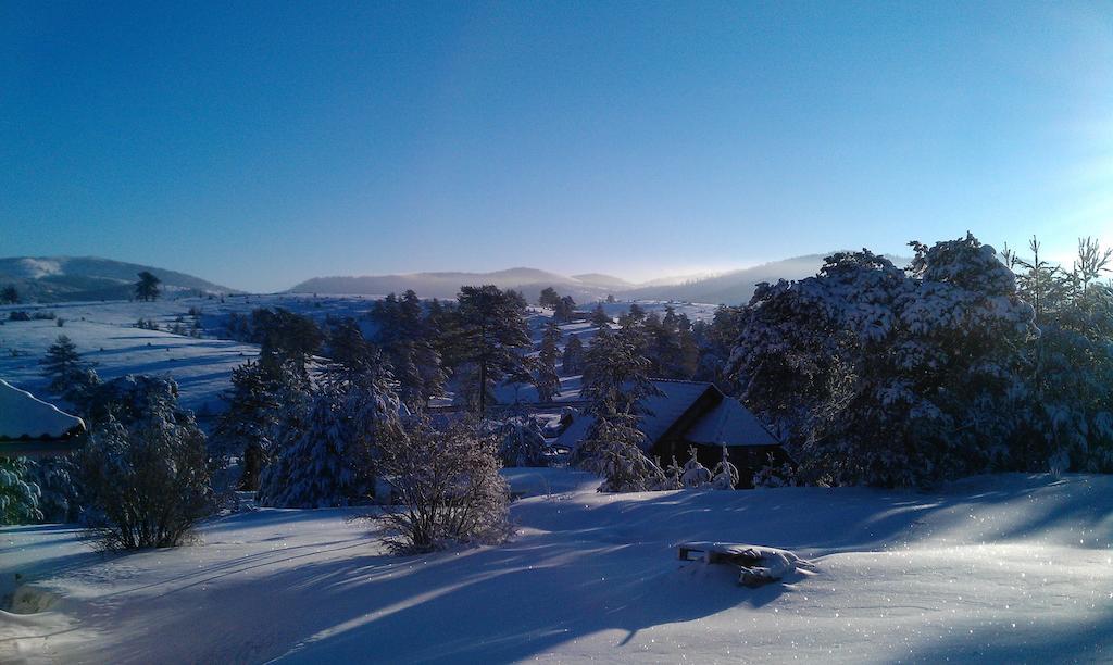 Villa Ducic Zlatibor Exteriör bild