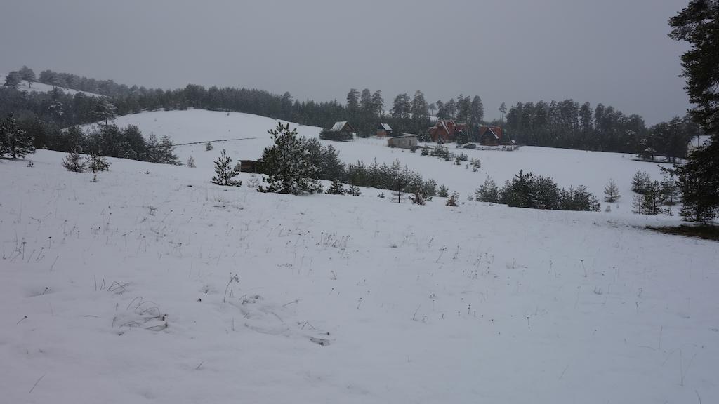 Villa Ducic Zlatibor Exteriör bild