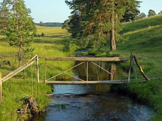Villa Ducic Zlatibor Exteriör bild