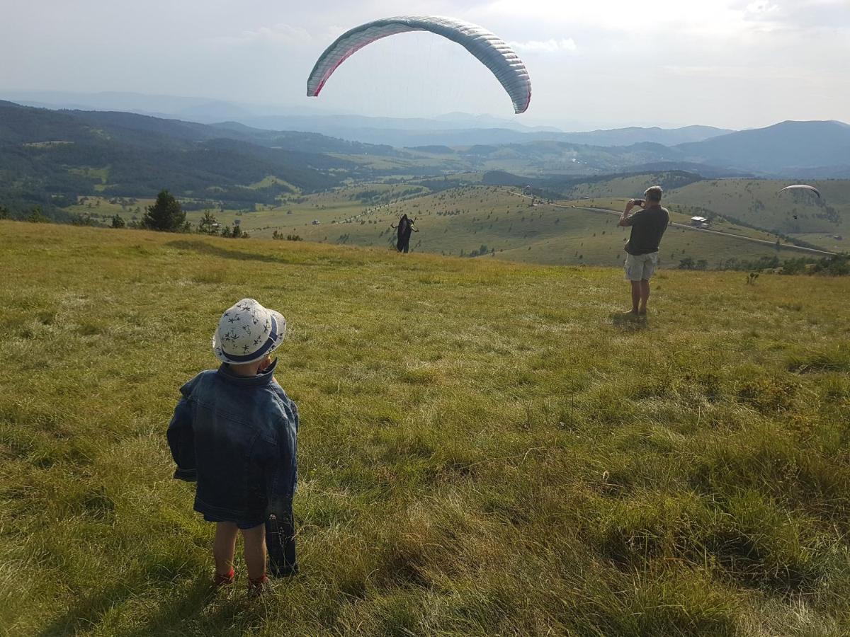 Villa Ducic Zlatibor Exteriör bild